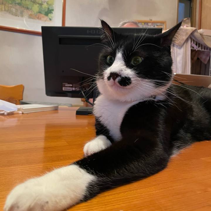 A5c95823 0c3f 4ea9 803c 61726a17b09c 1659088483417