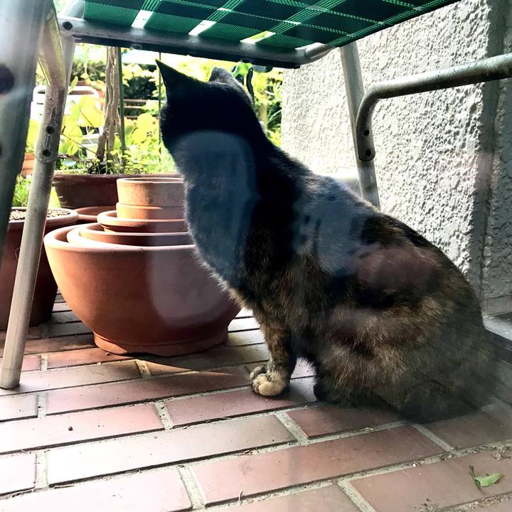 A5c97443 bad7 437a 9ad7 b938d55236ce 1619926724427