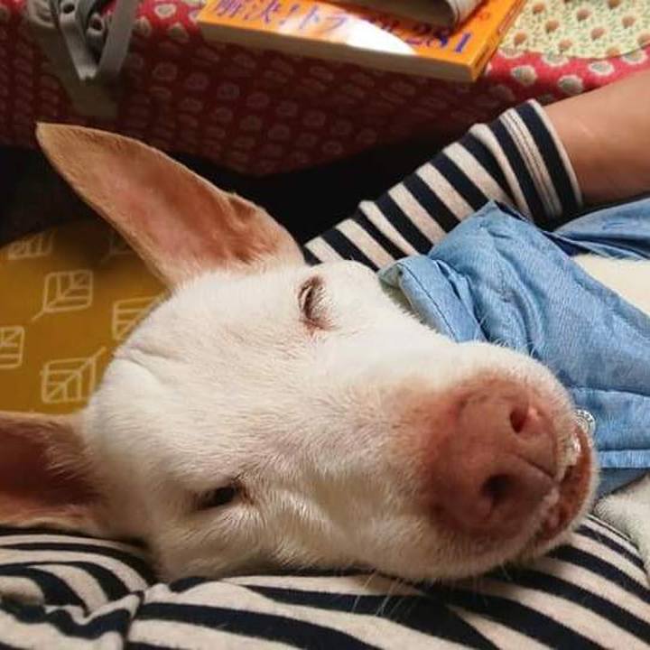 A5ca0421 ffeb 4e31 9c58 fcf2c93b7523 1652752497357