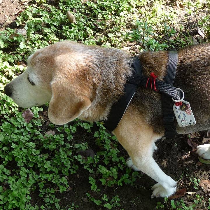 A5ca6bd9 315c 46f8 8d12 67c141e624a9 1699315448811