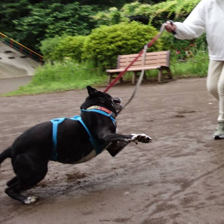 A5ca81a6 dfb8 4dcf 9ff2 1470760fe422 1748647650697