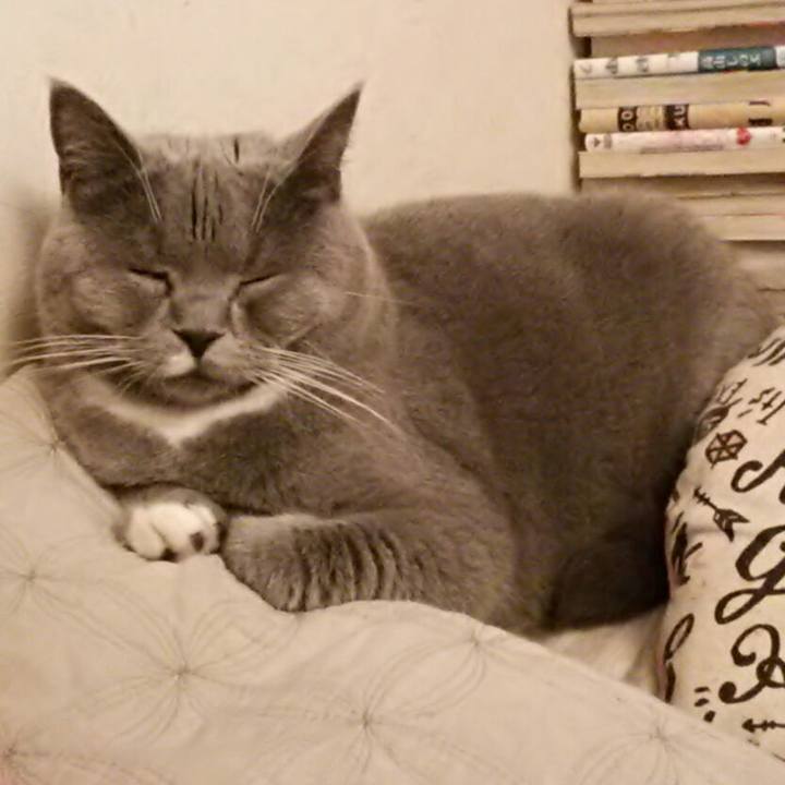 A5ca8f9d c045 4db1 bd92 13a66ab513ee 1550963264145