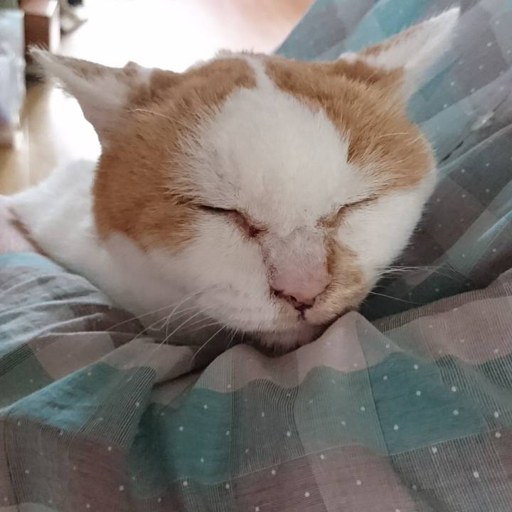 A5cab771 797c 421b 9af5 3127f0e542fc 1566423127273