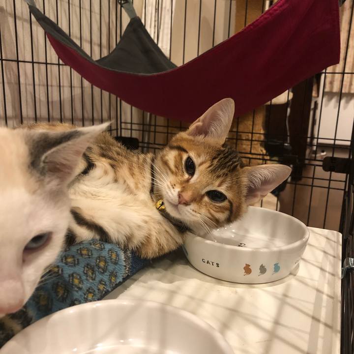 A5caca3b 7022 4229 bc34 c15bd5c82f9b 1550190246438