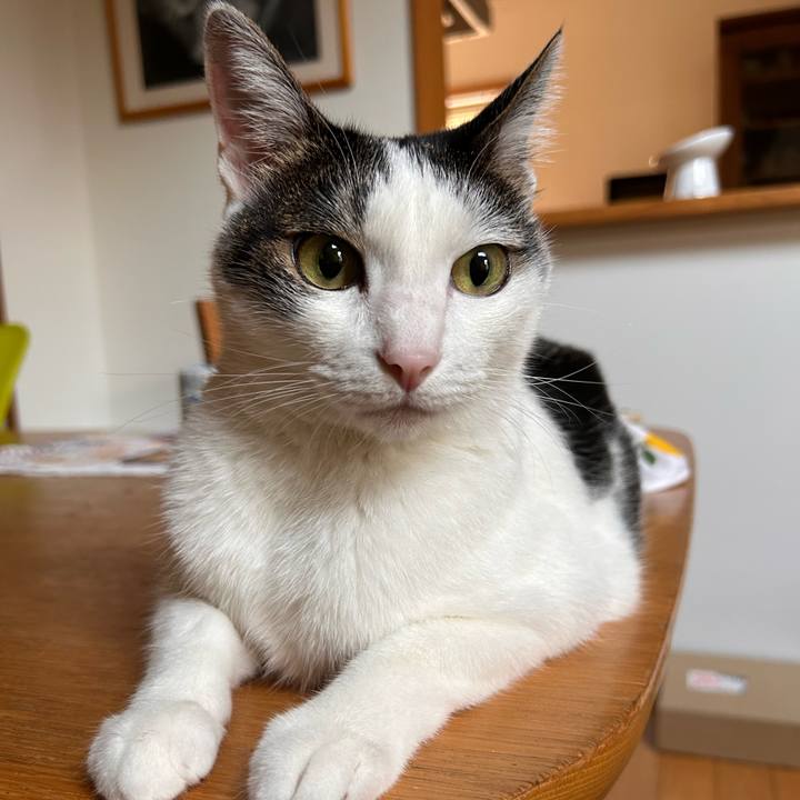 A5cadfc6 fd3b 4472 be3d c7955c0ad533 1757367004284