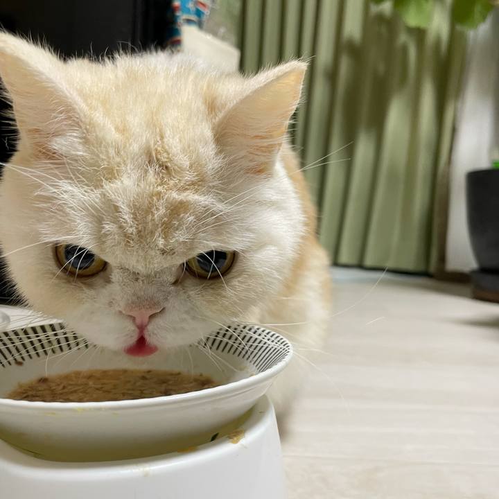 A5caf805 1f9a 4ede 8925 a3a46517f841 1763723204455