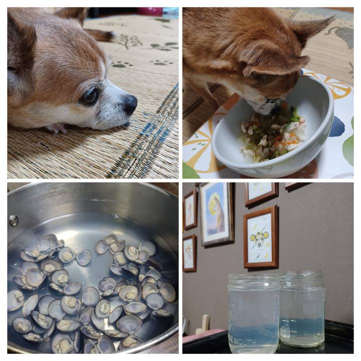 A5caff35 f97d 42f6 a95f 7d7b2f7c804d 1759440812375