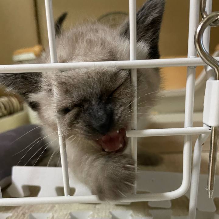 A5cb03da 88c0 44fa a5b3 57794890164c 1685822859255