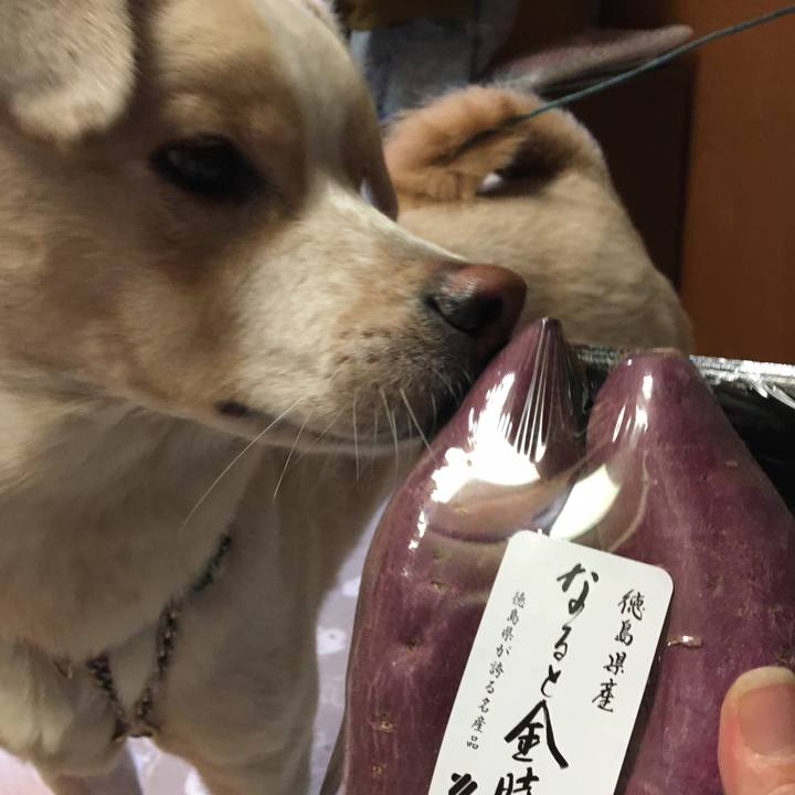 A5cb10b9 796d 4a85 8230 8054a7f26364 1514241699217