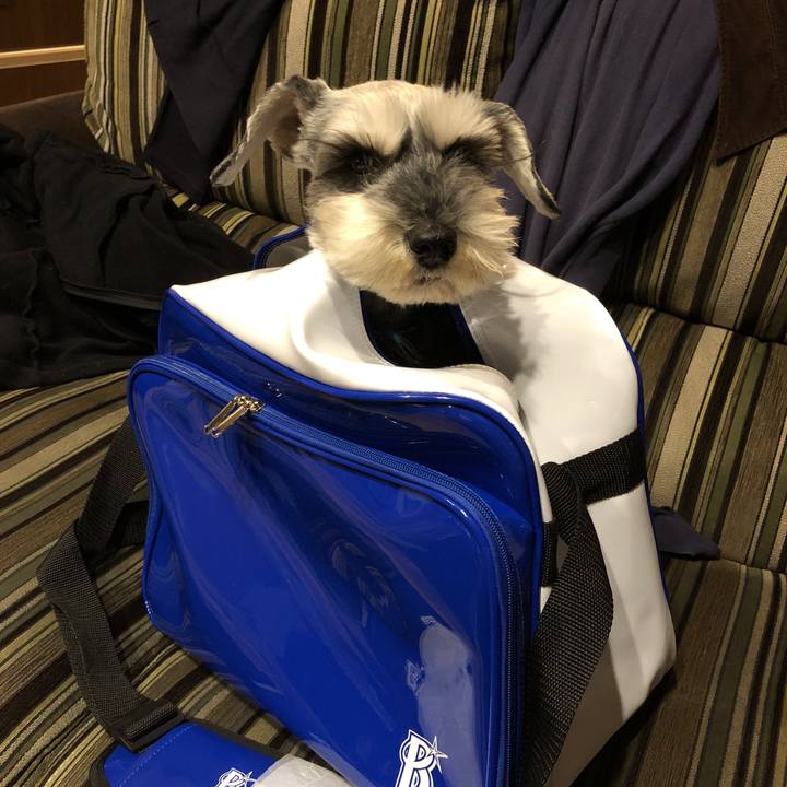 A5cb21a8 4f6a 41ec 8134 d8a3708f9366 1523018960947