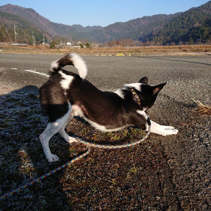 A5cb31b3 bc96 4e59 a4ff 1845bf2b91bf 1513827010006