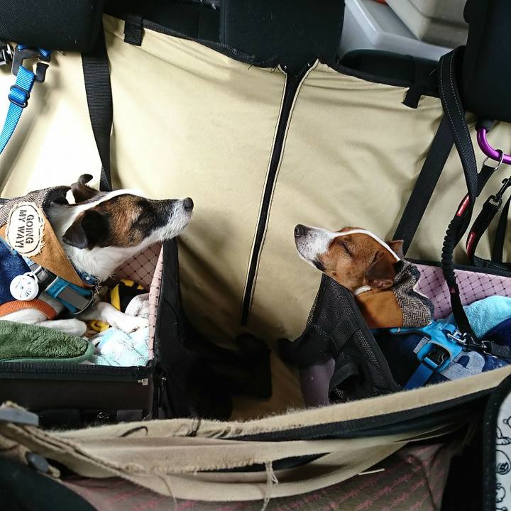 A5cb32ca cf12 4339 af5a f750ed9b3620 1572766709615