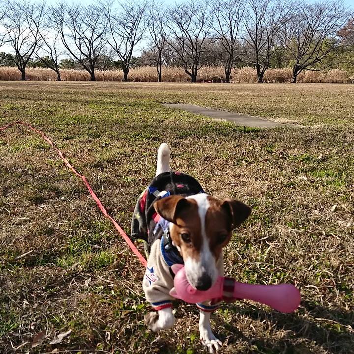 A5cb54c1 b6a0 4f9c 9213 3f651726a797 1546237256938