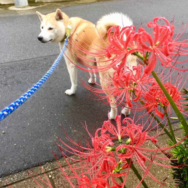 A5cb6d9b 23db 45b8 a05d 806b2a31f6e1 1537883785858