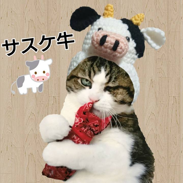 A5cb8f9c 7cf3 4f44 afac a31d5d65beb0 1609731360550