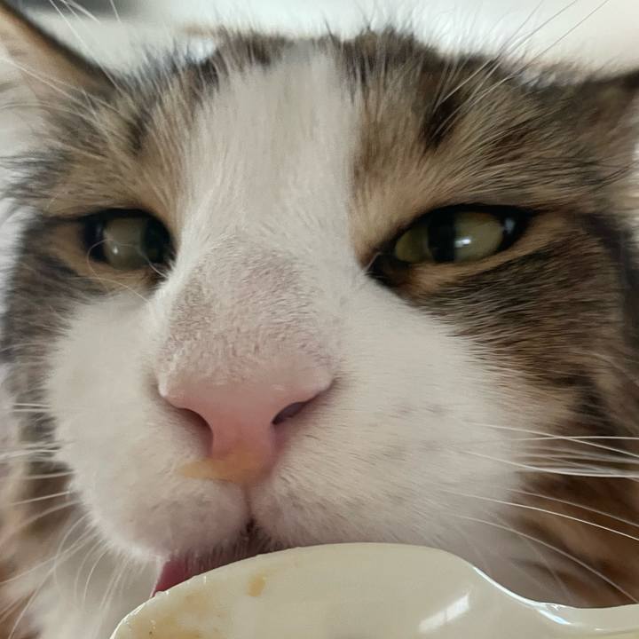 A5cb975b 5cfd 4b18 9228 c6cd7f6694cd 1657265867335