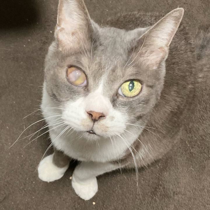 A5cbaf0e c797 45c4 b436 42b8e2675a38 1718008059808