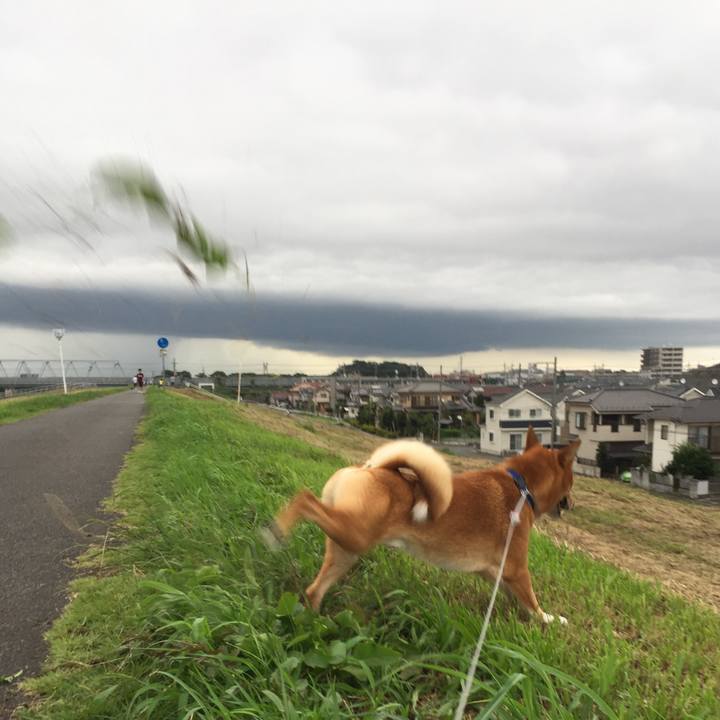 A5cbec14 1915 4076 9d86 a6e994b29ff9 1588306911206