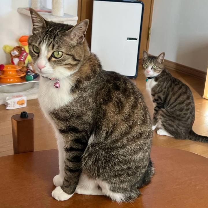 A5cbf39a cc0e 40f7 8d43 15eb3e053cd1 1725365928199