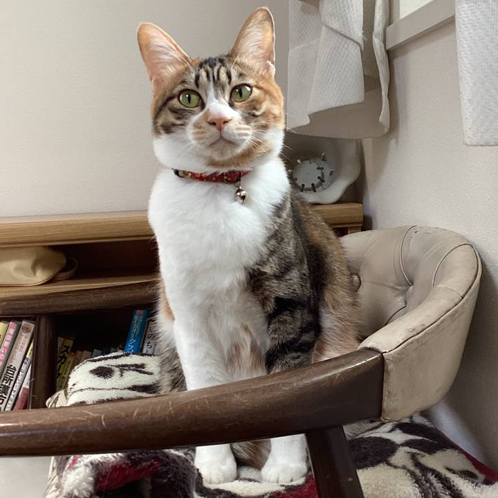 A5cc574c 11a3 4228 8af2 cdbfa59c1e7e 1679624736427