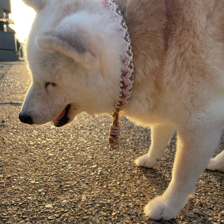 A5cccd55 97b8 4db2 9f1c 23bc056e0e2f 1758928891560