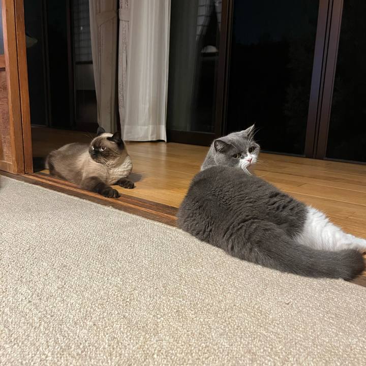 A5ccf1ed da9e 4ed2 85d1 35ff77e504d9 1663329269599