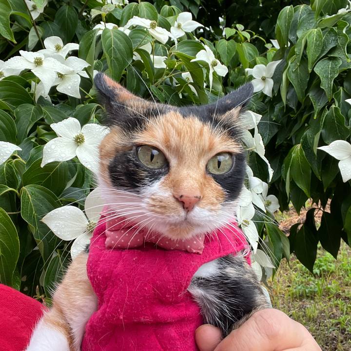 A5cd135f 3287 4233 bdc9 1d539ce92448 1654641868876