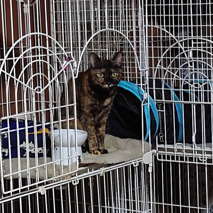 A5cd489b 7117 4f94 b2ad 04df54f04706 1729859169768