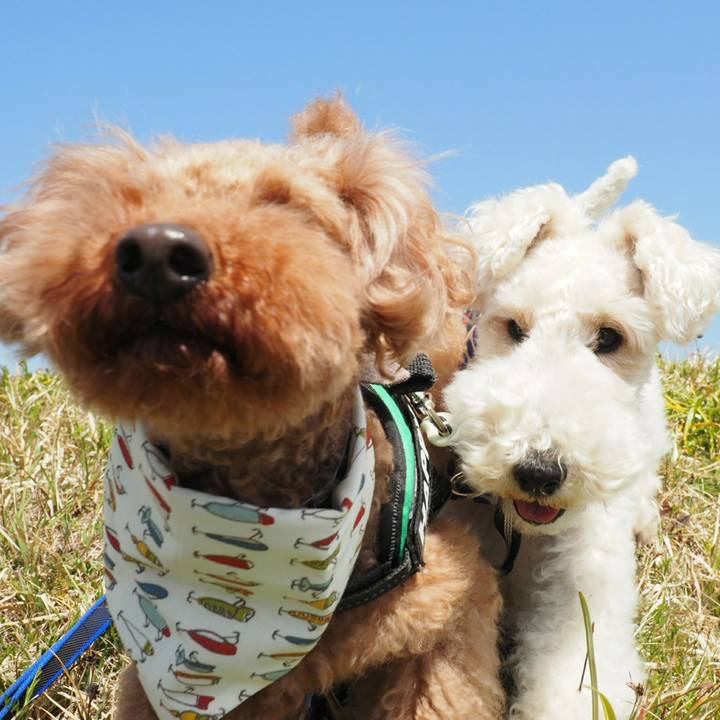 A5cd4d6f ab92 4075 a1c1 305ce5eb8e89 1522487726523