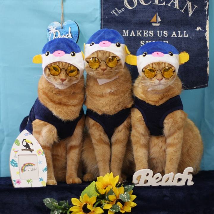 A5cd8461 33aa 420b 8340 f3fb75aea50e 1627784034089