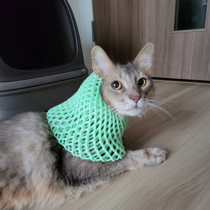 A5cdbfdd 9e16 4663 8b27 9825978d0f3c 1628925076762