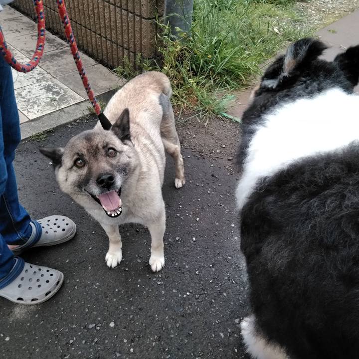 A5cdf8a0 864f 47dc a589 fc5971111d27 1558447517429