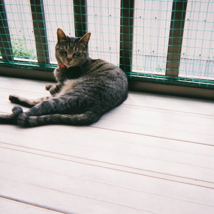 A5ce5cd1 9282 45db ac82 4c1d5db148d1 1560557934517