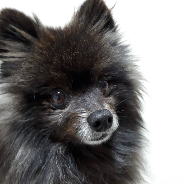 A5ce641a 3428 4447 b6e2 9c75a700b29b 1518026396937