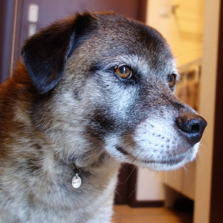 A5ce72b1 ec3d 4481 9004 33ba1c634160 1644023637245