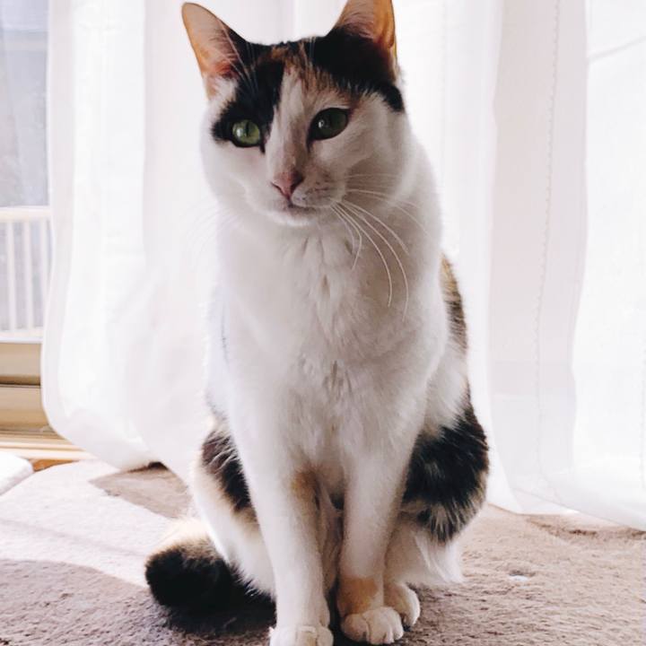 A5ce82d4 dd62 4b57 9684 66c85b0927be 1556675766792