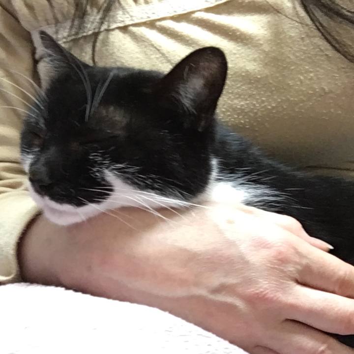 A5ceb5e6 b923 4659 9e3f ec7f56158045 1554890795253