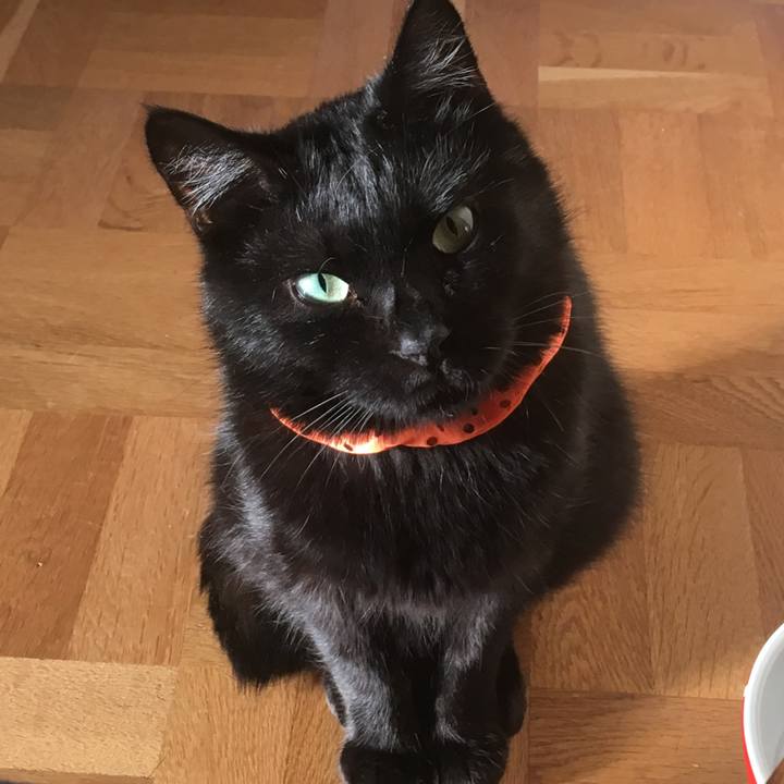 A5ced5a0 56c5 4ce8 b304 77a48cc0b6b5 1538206846128