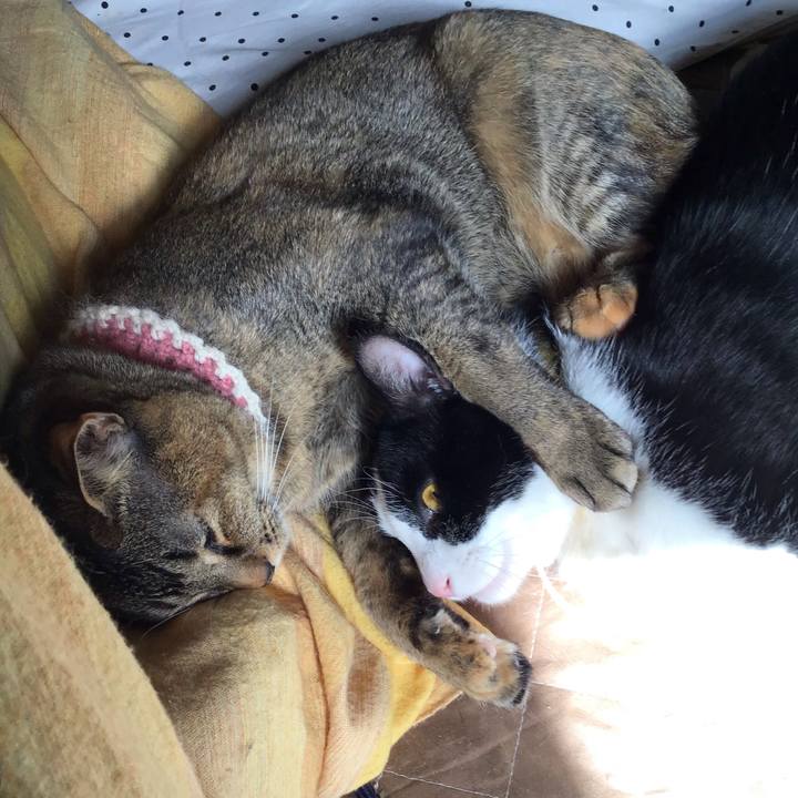 A5cf0606 df69 4b75 a1cf d2b7785361d6 1651620514865