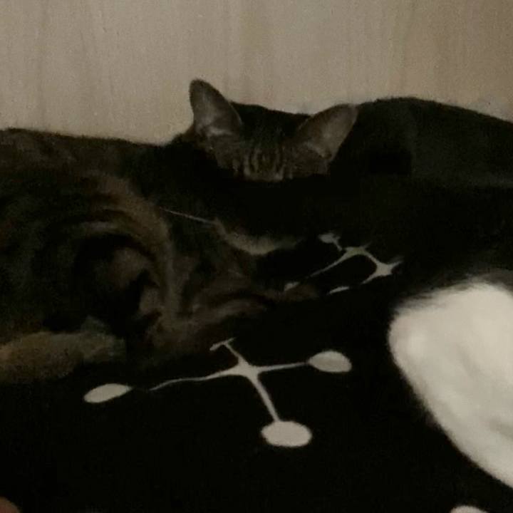 A5cf32e0 e530 45be b57d a56d08525206 1617591735932