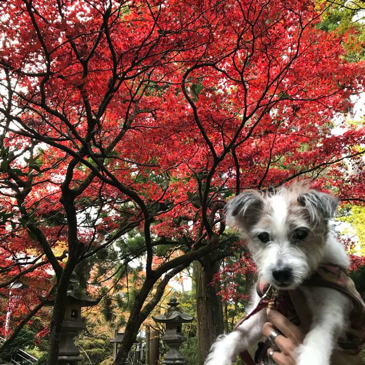 A5cf49ac 085c 4128 a8af d889a9db677e 1574724422689