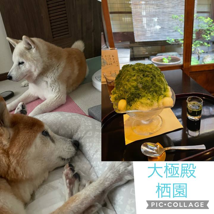 A5cf55fd 5323 4ecd 8678 c7646d2b9b00 1627945735820