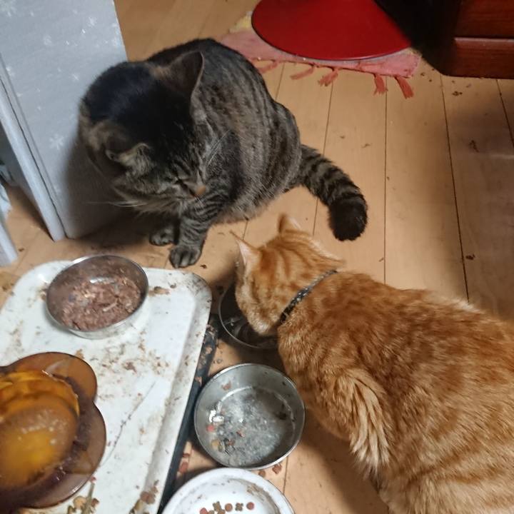 A5cf5793 25c9 44b1 9ac3 63590bf80e10 1648933055764