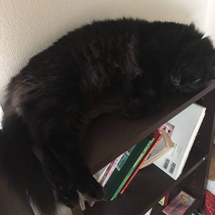 A5cf60be 222a 4345 9198 90810a80ec3c 1570329661801