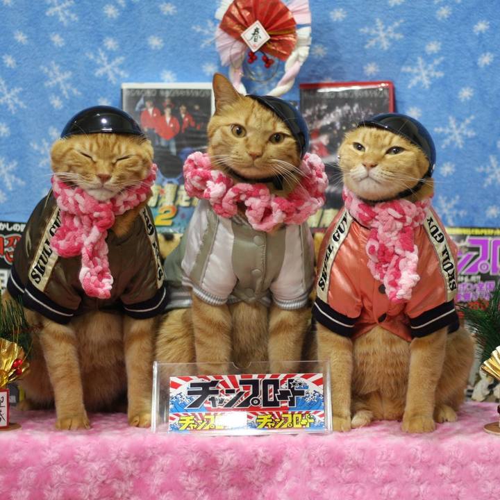 A5cf6f37 c3f8 4cce 9c3c 954177878206 1609472144749