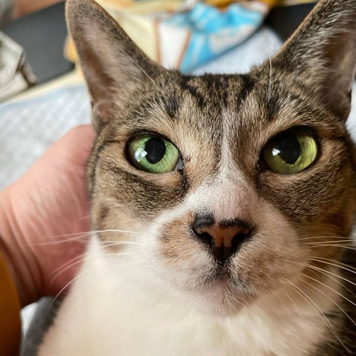 A5cf8ee9 ccfa 4cf6 bd01 21a7bef4b1a1 1635213860022