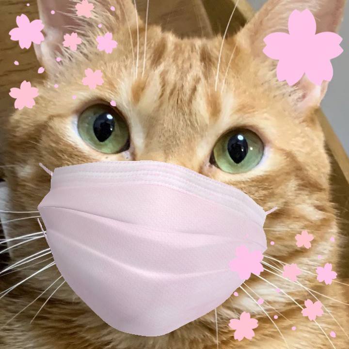 A5cfb293 9682 49a8 97a7 b8977fe3fb2d 1584148693910