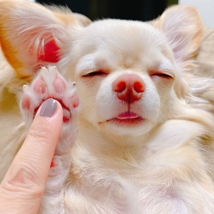 A5cfbe9e d6da 409d 8f0a 17a4224756c2 1635932571328