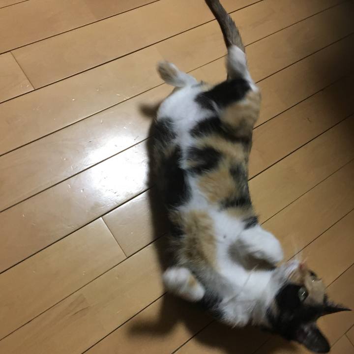 A5cfc3cc 6848 4416 b0cf a296283d88ac 1509787276029