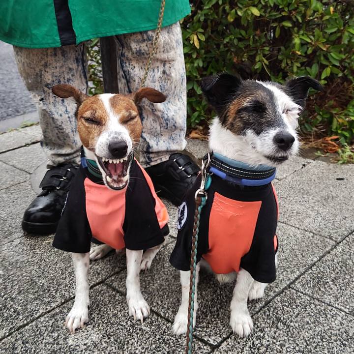 A5d05ddb ec2d 4ddc b690 d9368eefe7f5 1720997521290